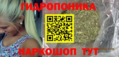 наркотики Кингисепп
