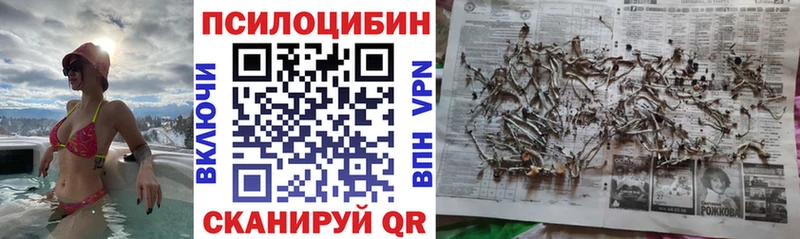 Галлюциногенные грибы MAGIC MUSHROOMS  blacksprut ONION  Череповец 