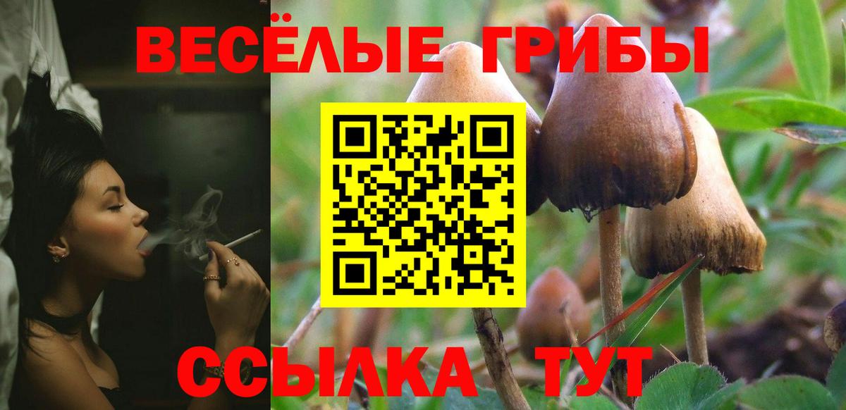Череповец  Галлюциногенные грибы GOLDEN TEACHER  Вход с VPN 